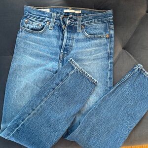 Levi's Men's Straight Blue Jeans